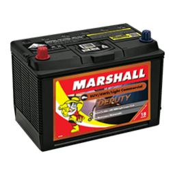 Marshall Deputy Batteries Marshall Deputy Batteries