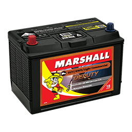 Marshall Deputy Batteries Marshall Deputy Batteries