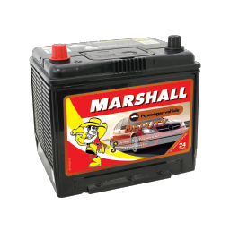 Marshall_PV_Deputy-EN55D23RMF