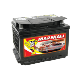 Marshall_PV_Deputy-EN55MF